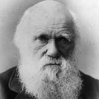 Charles Darwin Earns 4,000 Votes in Georgia Congressional Race; Virginia Cat Wins 6,000