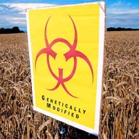 Whole Foods Accused of Accepting Genetically Modified Foods