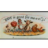 Tons of DDT “Disappear” from Superfund Site