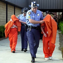 One Third of Young Americans Arrested by Age 23…Is Drug Crackdown to Blame?