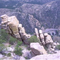 Court Sides with Picnickers and Sightseers against National Forest Fees