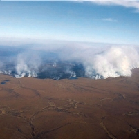Climate Change Brings New Threat to Arctic: Wildfires