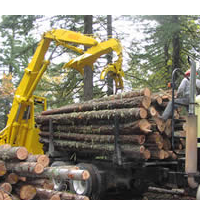 Why are Georgia and North Carolina Selling their Forests to Create Energy in Europe and the UK?
