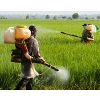 EPA Proposes Expanded Use of Weed Killer it said is Highly Toxic to Plants