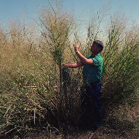 EPA Pushed Oil Companies to Pay for Non-Existent Biofuel Additive