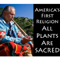 California Tribe Building $10 Million Indoor Pot-Growing Facility