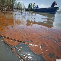 Coast Guard Tells Louisiana Residents Oil Spill is not an Environmental Disaster