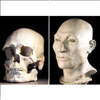 Native Remains Nationwide to be Returned from Museums to Tribes
