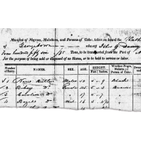 Georgetown University Grapples with Massive 1838 Slave Sale that Secured Its Survival