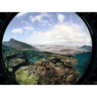 Endangered Great Barrier Reef Hit with Unarmed U.S. Bombs during Exercise with Australia