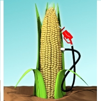 EPA Ignored Legal Duty to Study Impact of Ethanol-in-Gasoline Requirement