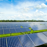 End of Solar and Wind Energy Grants Puts Thousands of Jobs at Risk