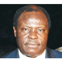 Cameroon’s Ambassador to the United States: Who Is Henri Etoundi Essomba?