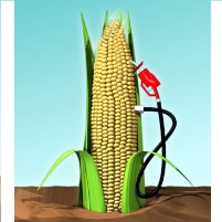 Biofuel Backlash