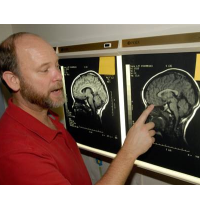 Harvard Report Suggests Raising Age for Juvenile Justice to 21, Partly because Human Brain Doesn’t Fully Mature until mid-20s