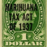 Marijuana Workers Join Union in California