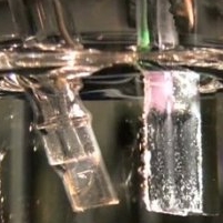 MIT Lab Creates Artificial Leaf…“Holy Grail of Chemistry”