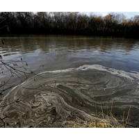 Duke Energy Admits Guilt in Coal Ash Spill Case