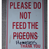 50% Increase in U.S. Cities Advancing Laws to Restrict the Sharing of Food with Homeless People