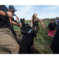 Thousands of U.S. Veterans to Serve as ‘Human Shields” for Dakota Pipeline Protesters