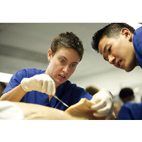Rising Funeral Costs Lead to Surge in Body Donations to U.S. Medical Schools