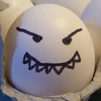 How Eggs are Made in the United States