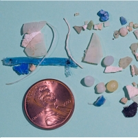 Plastic Pollution in the Atlantic Ocean