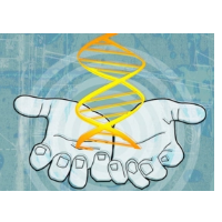 World Scientists Call for Moratorium, but No Ban, on Inheritable Gene Editing of Humans