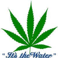 Colorado Town May Have THC in Water Supply