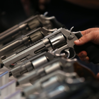 Personal Safety behind Increase in Gun Owners’ Preference for Hand Guns