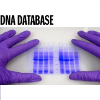 FBI Has Backlog of More Than 3,200 DNA Cases