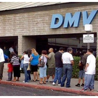 Majority of New Driver’s Licenses Issued in California This Year are to Undocumented Immigrants