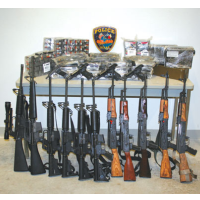 Bushmaster, Colt, Remington, Smith & Wesson Win Rejection of Assault Weapons Ban