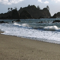 Green in Color, National Parks in Washington Are Going Greener