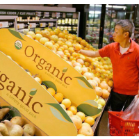 45% of Americans Try to Include Organic Foods in their Diet…and 15% Try to Avoid Them