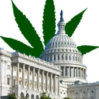 Federal Budget Forbids Spending to Oppose Medical Marijuana, but Congress Considers Overruling D.C. Vote to Legalize Recreational Marijuana