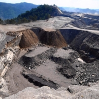 Big Coal Lawyers Blame Inbreeding for Problems Caused by Mountaintop Removal
