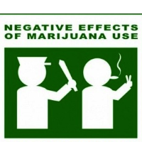 As Marijuana Legalization Spreads in Some Parts of U.S., Some States Use Federal Grants to Crack Down Harder