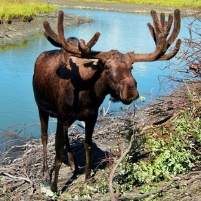 Congress Approves Protection of 2 Million Acres of Wilderness