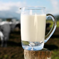 Loss of Foreign Workers Would Damage Milk Supply in U.S.