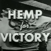 Hidden Benefit of Legal Marijuana: Hemp