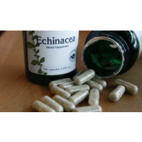 Many Herbal Supplements Don’t Contain the Ingredients They Claim