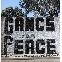 Fighting Gang Violence with Night Lights and Mass Arrests