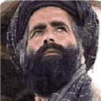 Did the Taliban Try to Stop Bin Laden Terror Attacks?