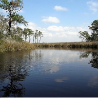 Alabama Town Defends Itself against Oil Spill