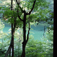 Climate Change Hits Walden Pond
