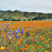 Obama Adds One Million Acres of Wilderness to Federal Protection