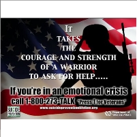 Federal Court Rules Congress and President Bear Responsibility for Fixing Veterans’ Mental Health Crisis