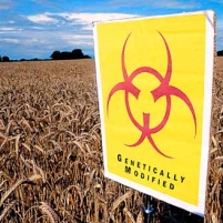 Monsanto and FDA Fight Labeling of Genetically Modified Foods