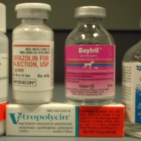 80% of U.S. Antibiotics Go to Farm Animals